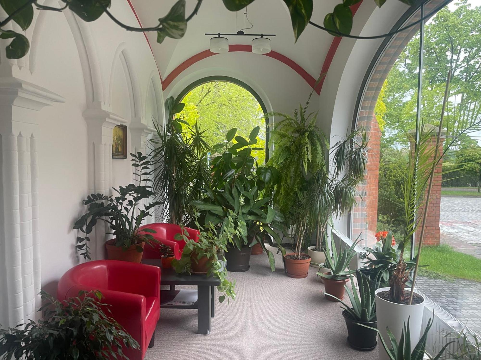 Szkolne Schronisko Mlodziezowe Dabrowka Hostel Prudnik Kültér fotó